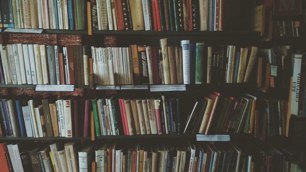 bookcases, books, bookshelves, knowledge, library, literature, novels, read, reading, bookworm, library, library, library, library, library
